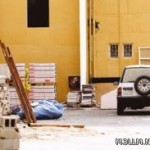 توزيع المعلمات المعينات بالخرج