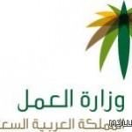 السماح لهيئة تقويم التعليم العام قبول ما يقدم لها من تبرعات