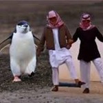 «التربية»: النظام التعليمي لا يكون بقرارات بل بالإحلال التدريجي