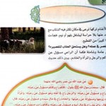 تداول صورة “معلمات” يقمن الصلاة على الرصيف يثير عاصفة تويترية