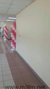 صورة 1 (2)