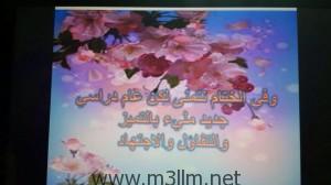 صورة (1)