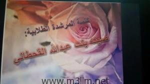 صورة 2 (2)