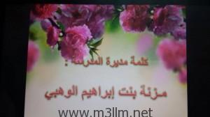 صورة 3