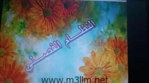 صورة 4 (1)