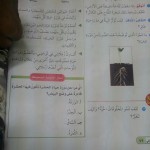 التربية تعلن موعد صدور حركة نقل المعلمين والمعلمات