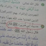 المعلّم المبتدئ اليوم ،، بين النظرية و التطبيق