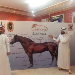 قافلتان “رجالية ونسائية” تجوبان الأحساء في حملة “محو الأمية”
