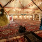 ندوة تثقيفة عن السكري بالثانوية الأولى (بنات) بمحافظة المذنب