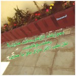 هل نخت إيران