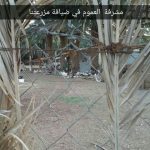 مشرفة العموم برياض الأطفال تزور قصر الملك عبد العزيز الاثري بوادي الدواسر