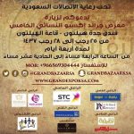 مدرسة جعفر بن أبي طالب ومدرسة أكرم تحصدان المركز الأول في مشروع فينا خير‎