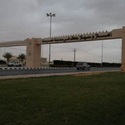 تفعيل اليوم العالمي ” للغة العربية ” بروضه بخشة بجازان