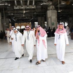 تعليم المدينة يعلن عن بدأ استقبال طلبات الانتساب الكلي