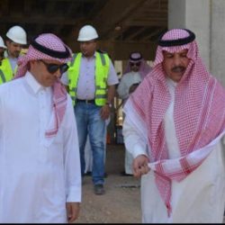 تعيين ٨٩٤١ معلما و معلمة على المستوى الرابع وتعيين ٥٨ من محضري المختبرات على المستوى الثاني