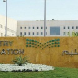 17 برنامجاً تدريبياً لقائدات ومعلمات الطفولة المبكرة بالزلفي
