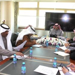 اصطدام حافلة معلمات بـ«جمل سائب» في الطائف .. وإصابة السائق