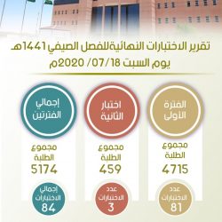 جامعة الإمام عبدالرحمن بن فيصل  تعلن الدفعة الثانية من المقبولين في مسارات السنة التحضيرية والبرامج الأخرى