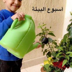 جامعة المجمعة .. تحتفي بتخريج الدفعة الحادية عشرة والثانية عشرة من طلابها ( افتراضياً )
