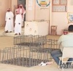 «ضوابط» خاصة تقيد تكليفات «العمل الإضافي» في «الإدارات التعليمية»