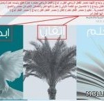 مدير التعليم يدشن الأسطول الجديد لنقل طالبات الطائف