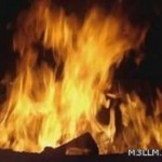 “اتعليم جازان” يشارك بمهرجان: جازان الفل مشتى لكل