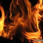التعليم العالي: لا نعتمد الشهادات عن بعد الصادرة من جامعات أجنبية