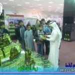 تعليق الدراسة بمنطقة رفحاء وهباس غداَ الثلاثاء
