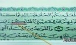 “التربية”: لا موعد لتعيين خريجات ​​”المعاهد”
