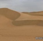 «قياس» يعلن نتائج اختبار القدرات العامة للجامعيين
