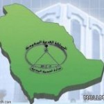 مدير تعليم الباحة يتفقد عدداً من المشاريع المدرسية بالمنطقة