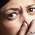 تعليم جدة وجمعية مراكز الأحياء تستهدفان تأهيل 3000 طالباً وطالبة على الإخلاء‎