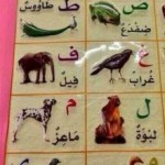 “مسن” على مقعد مدير تعليم عسير