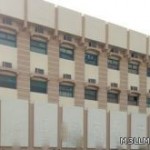 (صورة) ثعبان يهاجم مدرسة ابتدائية للبنات بالمجاردة.. الأكثر انتشاراً