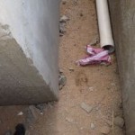 الاحتفال باليوم الوطني 83 بمدرستي الإمام البخاري وابن باز