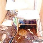 المقاصف المدرسية تبيع محفّزات السمنة وتسوس الأسنان للطلاب