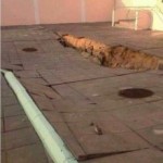 وزارة التربية تنفذ البرنامج الأول للقيادات التربوية