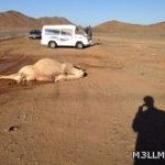 خالد الفيصل: مشروع خادم الحرمين لتطوير التعليم سيُنفّذ كما أراده حرفياً