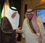 مقاطع تربوية