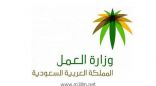 “العمل” تتيح لـ”التربية” الاستفادة من خدمات المرافقين عبر “أجير”
