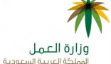 “العمل” تتجه لإلغاء مسيرات الرواتب الخاصة بـ”الأهلية”