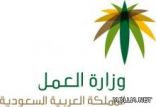 وزارة العمل : إغلاق 2500 مدرسة والتربية تعترض