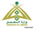 العمل تحذر المواطنين من التعامل مع معلمي الدروس الخصوصية
