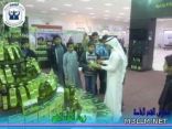 مهرجان الزيتون السادس للاستثمار والتسوق بالجوف