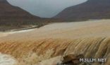 السيول تحتجز 5 معلمات وسائقهن  بالطائف