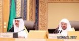 وزير الخدمة المدنية يستعرض أبرز ملامح الخطة الإستراتيجية لوزارته أمام مجلس الشورى