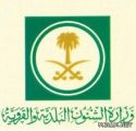 البلدية: لا يحق للتربية إلزام ملاك المخططات بإفراغ أراض للمرافق التعليمية