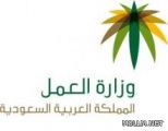 مرافقو”العمالة” لـ”وظائف التعليم”