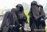 رفض 243 معلمة مباشرة وظائفهن العام الجاري