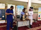 محاضرات طبية توعوية في مدارس مكة عن هشاشة العظام يستفيد منها أكثر من ألفي طالب وطالبة ..